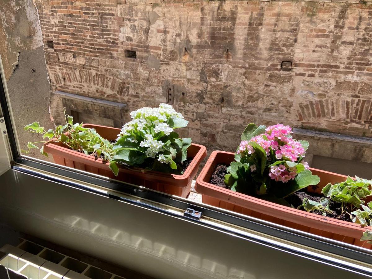Al Bel Panorama Apartment Perugia Ngoại thất bức ảnh